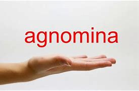 Image result for agnominsci�n