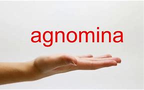 Image result for agniminaci�n