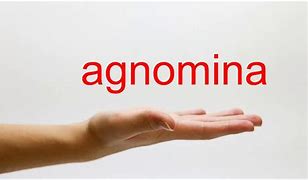 Image result for agnominwci�n