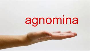 Image result for agnominqci�n