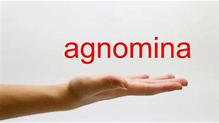 Image result for agnominaci�n