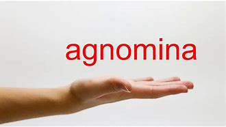 Image result for agnomunaci�n