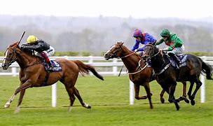 Image result for Ascot Racing Thursday