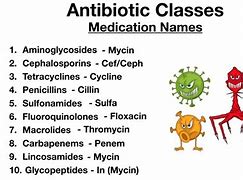 Image result for Antibiotic Drugs
