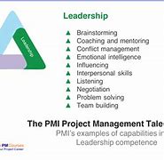 Image result for PMI Talent Managment Triangle