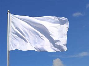 Image result for Plain White Flag
