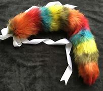Image result for Rainbow Wolf Real