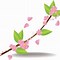 Apple Blossom Stock Flower 的图像结果