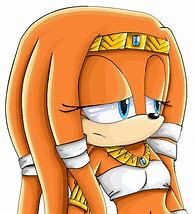 Image result for Tikal the Echidna Swimsuit