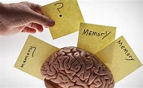Image result for Memory Problems