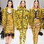 Image result for Versace Collection
