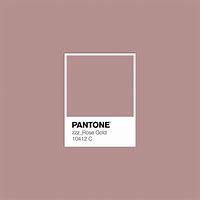 Image result for Rose Gold Color Swatch Pantone