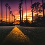 Image result for California Sunset Palm Trees
