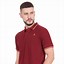 Image result for Cotton Polo Shirts for Men