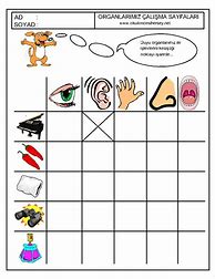 Image result for Kindergarten Senses Worksheet