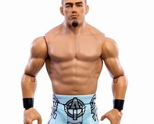 Image result for WWE Basic Action Figures