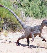 Image result for Velociraptor 6X6
