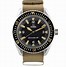 Image result for Omega Dive Watch