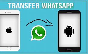 Image result for Move Whats App From Android to iPhone