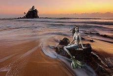 Image result for Sea Siren Mermaid