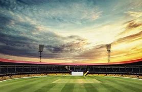 Image result for Cricket Background