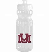 Image result for Memphis Grizzlies Water Bottle