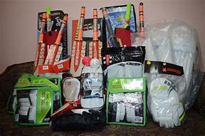 Image result for Women's Cricket Proctiting Gears