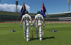 Image result for Cricket Sitch