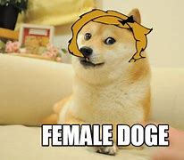 Image result for Doge Female