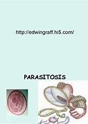 Image result for parasitosis