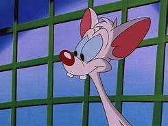 Image result for Pinky and the Brain Episodes