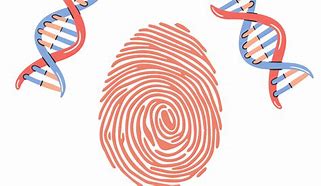 Image result for Terminus Fingerprint