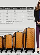 Image result for Different Luggage Sizes