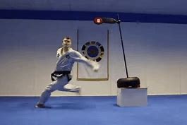 Image result for Sword Martial Arts Styles