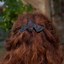 Image result for Bat Hairstyles Halloween