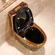 Image result for 24 Karat Gold Toilet