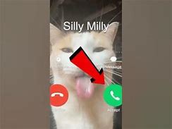 Image result for Millie Is Calling Meme