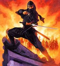 Image result for Japanese Ninja Art