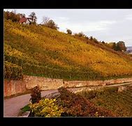 Image result for esslingen vineyards