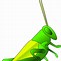 Image result for Cartoon Crickets Making Music