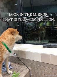 Image result for Competition vs Meme