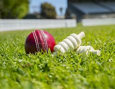 Image result for Cricket Ball Game