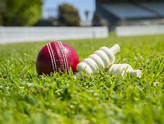 Image result for Cricket Pics No Copyright