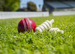 Image result for Cricket JPEG