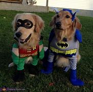 Image result for Bat Dog and Robin