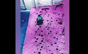 Image result for Hey Apple Rock Climber