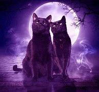 Image result for Purple Halloween Cat