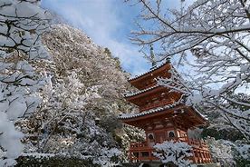 Image result for Snow Pagoda