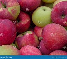 Image result for Apple Bushel