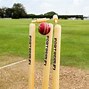 Image result for Cricket Stumps in Garden Lawn